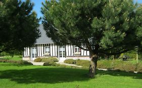 Gîte des Pins Penchés